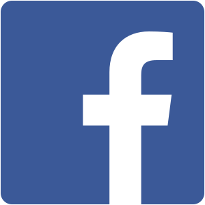 Facebook Icon 2013.svg